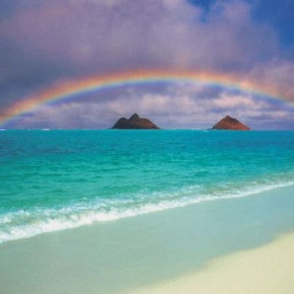 Meet your Posher, AntiHoaxAntiVaxxAntiLies - Picture 4 of 5